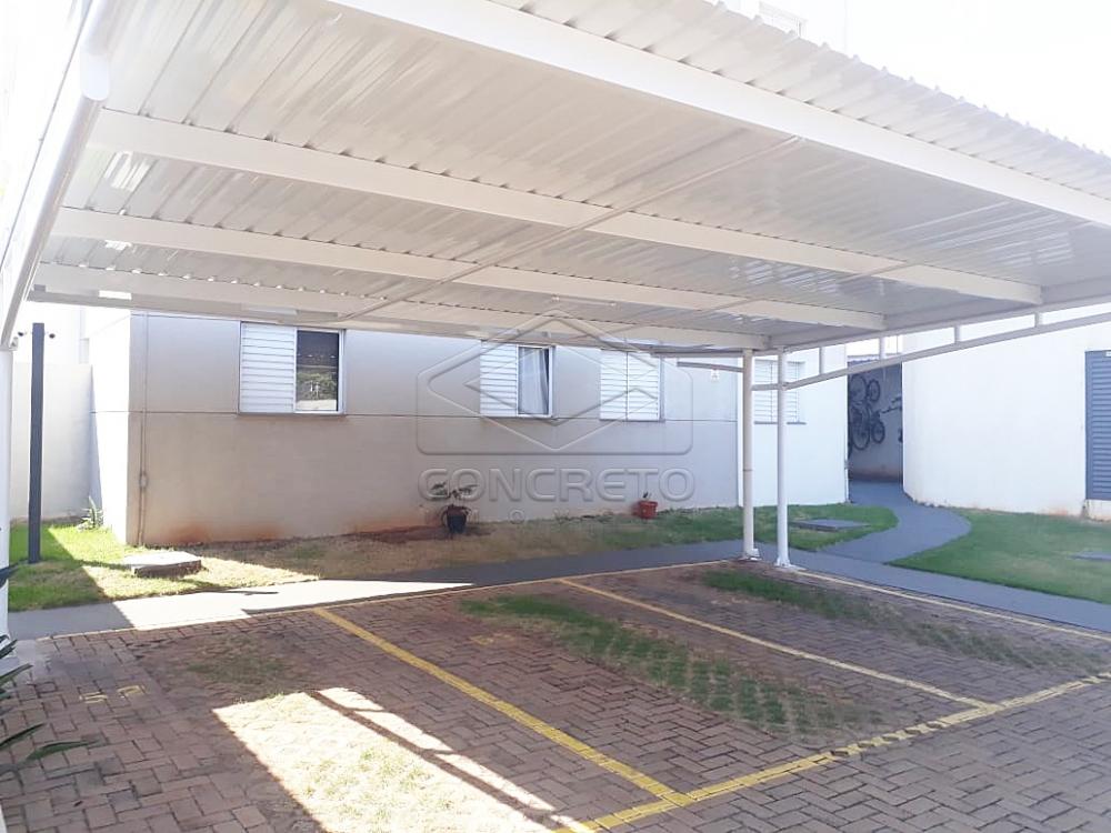Comprar Apartamento / Padrão em Jaú apenas R$ 140.000,00 - Foto 10 Comprar Apartamento / Padrão em Jaú apenas R$ 140.000,00 - Foto 10