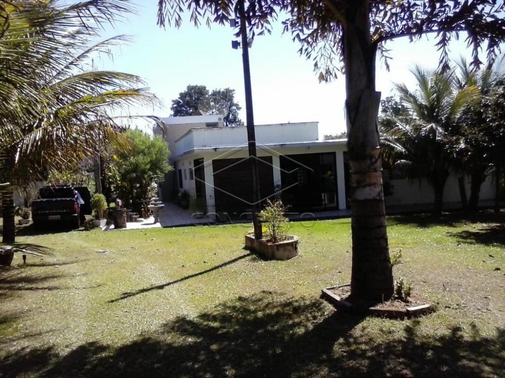 Comprar Rural / Rancho em Botucatu R$ 400.000,00 - Foto 3 Comprar Rural / Rancho em Botucatu R$ 400.000,00 - Foto 3