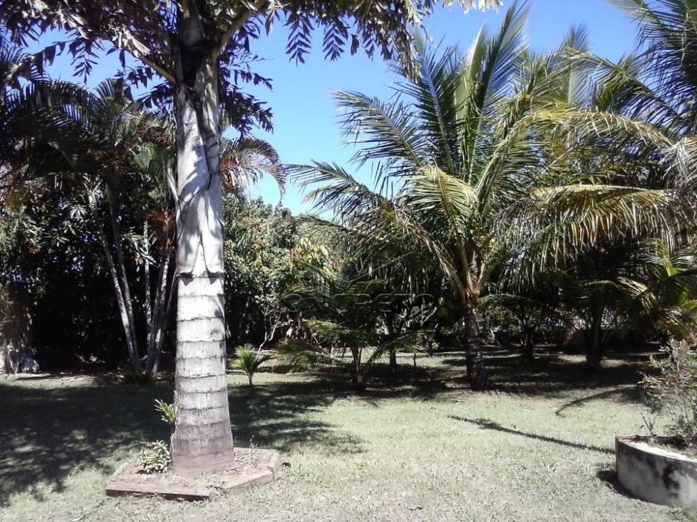 Comprar Rural / Rancho em Botucatu R$ 400.000,00 - Foto 18 Comprar Rural / Rancho em Botucatu R$ 400.000,00 - Foto 18