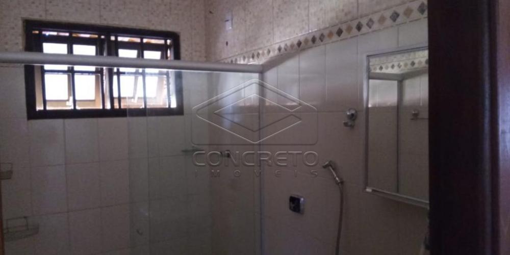 Comprar Rural / Chácara / Fazenda em Bauru R$ 300.000,00 - Foto 10 Comprar Rural / Chácara / Fazenda em Bauru R$ 300.000,00 - Foto 10
