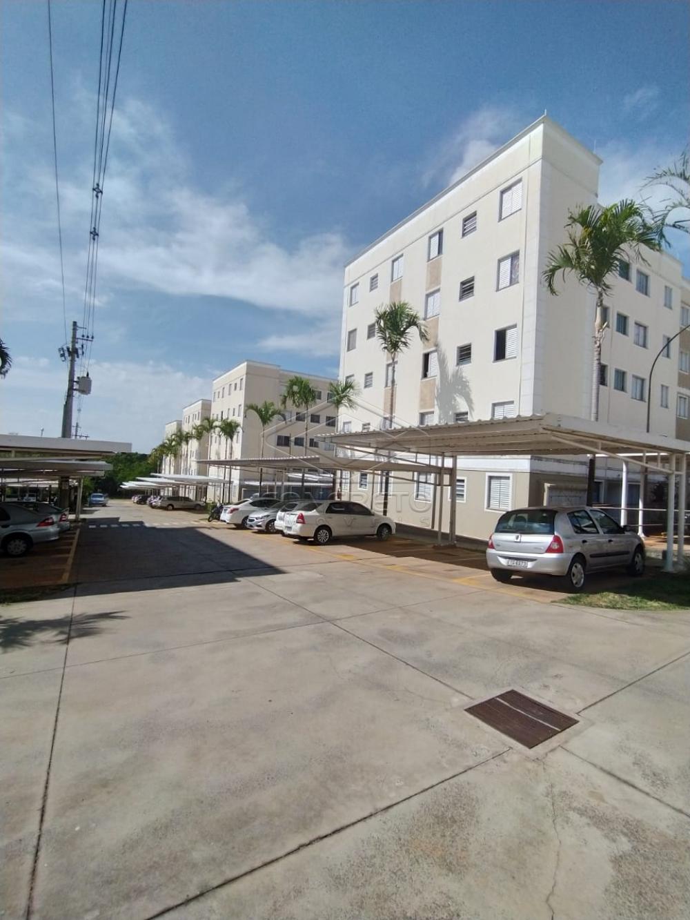 Alugar Apartamento / Padrão em Bauru R$ 600,00 - Foto 1 Alugar Apartamento / Padrão em Bauru R$ 600,00 - Foto 1