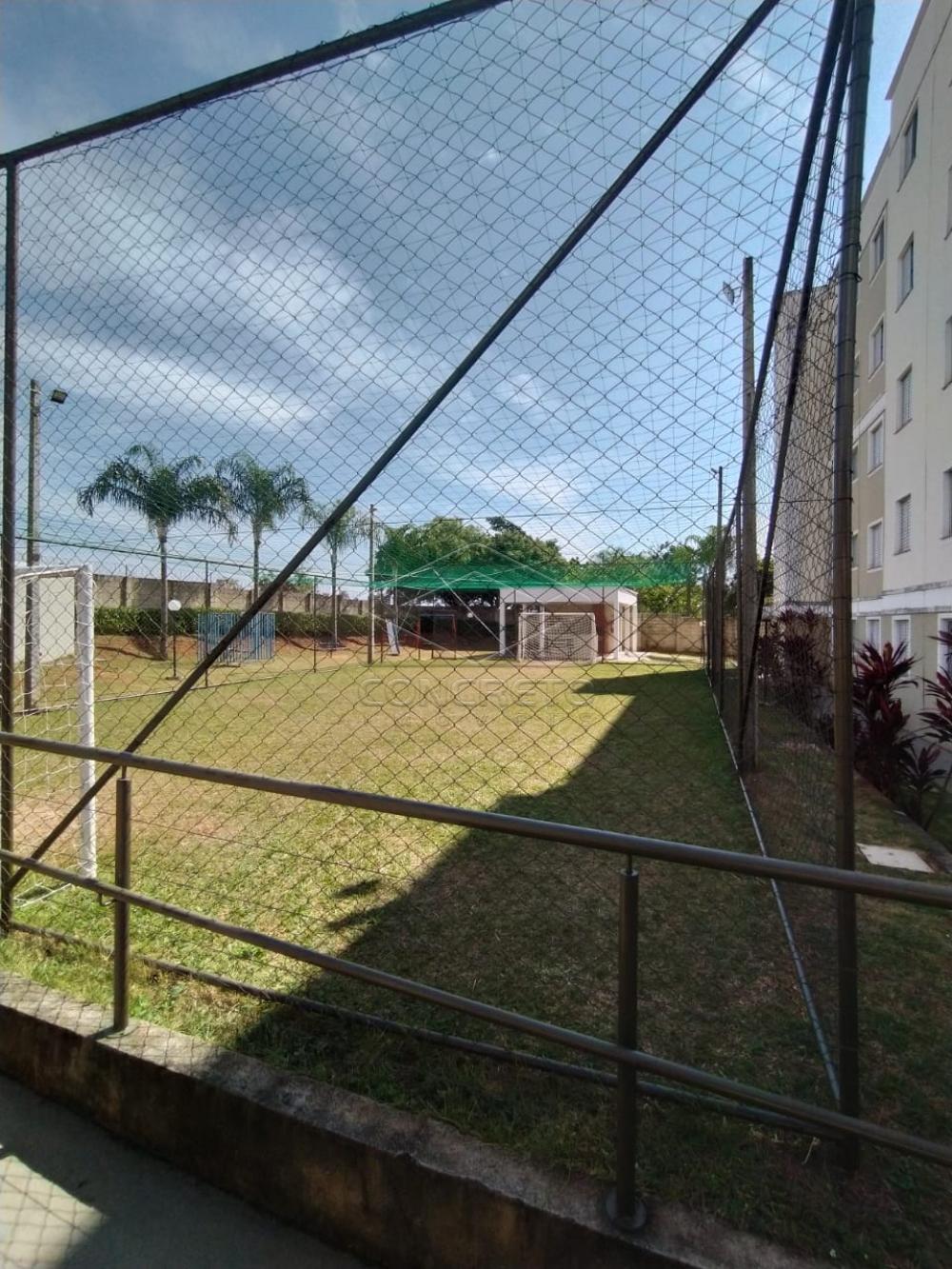 Alugar Apartamento / Padrão em Bauru R$ 600,00 - Foto 2 Alugar Apartamento / Padrão em Bauru R$ 600,00 - Foto 2