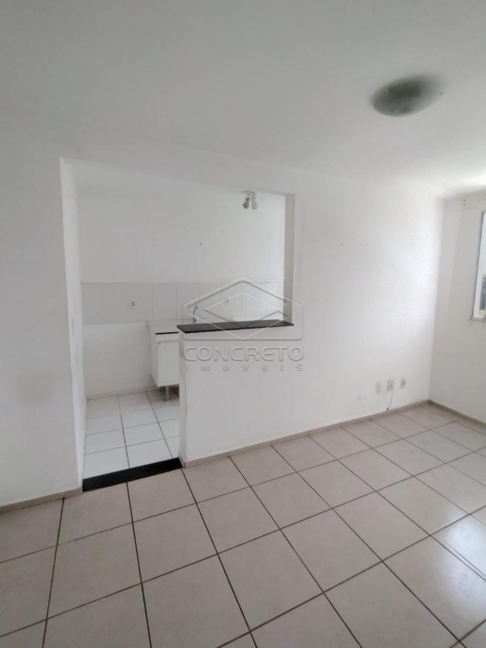 Alugar Apartamento / Padrão em Bauru R$ 600,00 - Foto 6 Alugar Apartamento / Padrão em Bauru R$ 600,00 - Foto 6