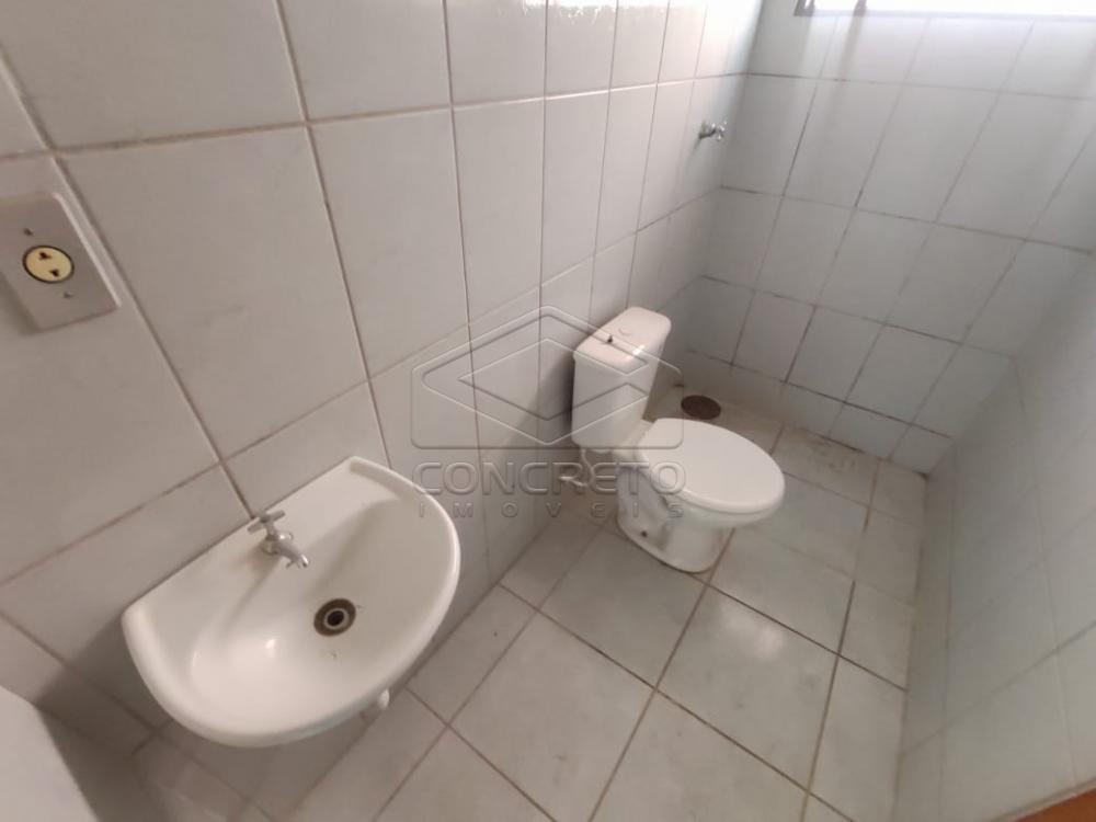 Alugar Casa / Padrão em Jaú R$ 800,00 - Foto 5 Alugar Casa / Padrão em Jaú R$ 800,00 - Foto 5