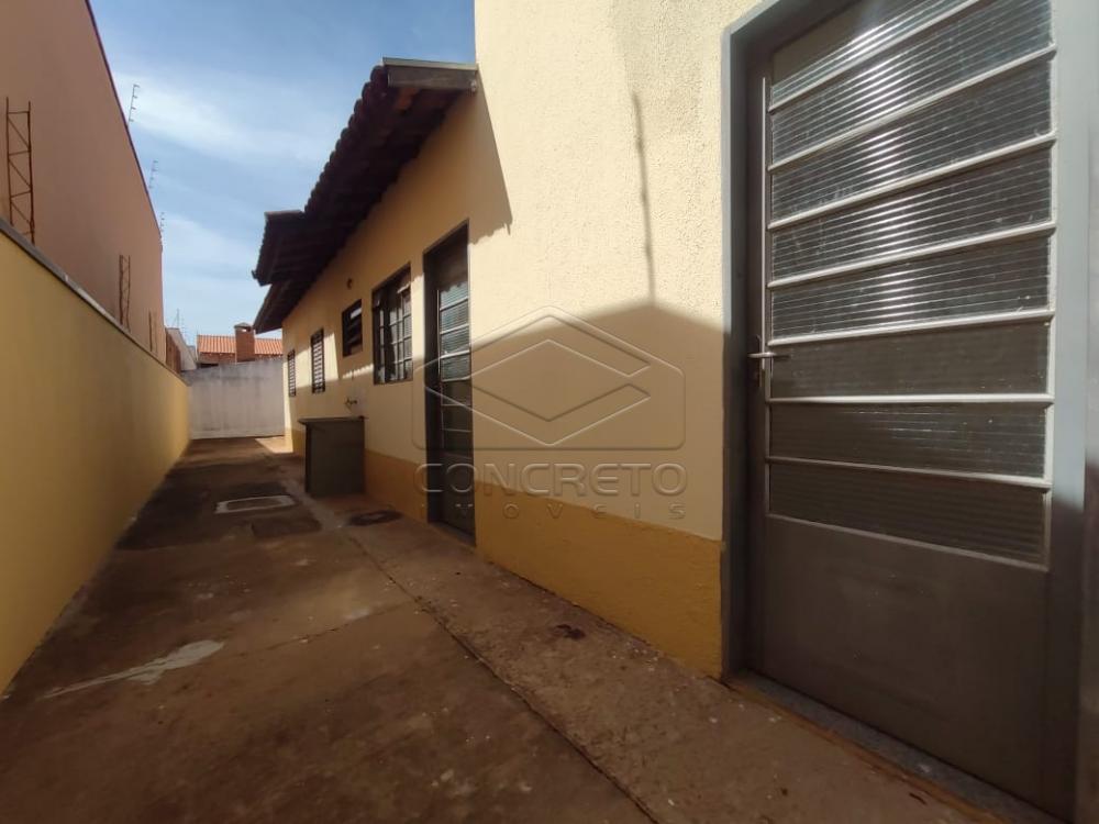 Alugar Casa / Padrão em Jaú R$ 800,00 - Foto 9 Alugar Casa / Padrão em Jaú R$ 800,00 - Foto 9