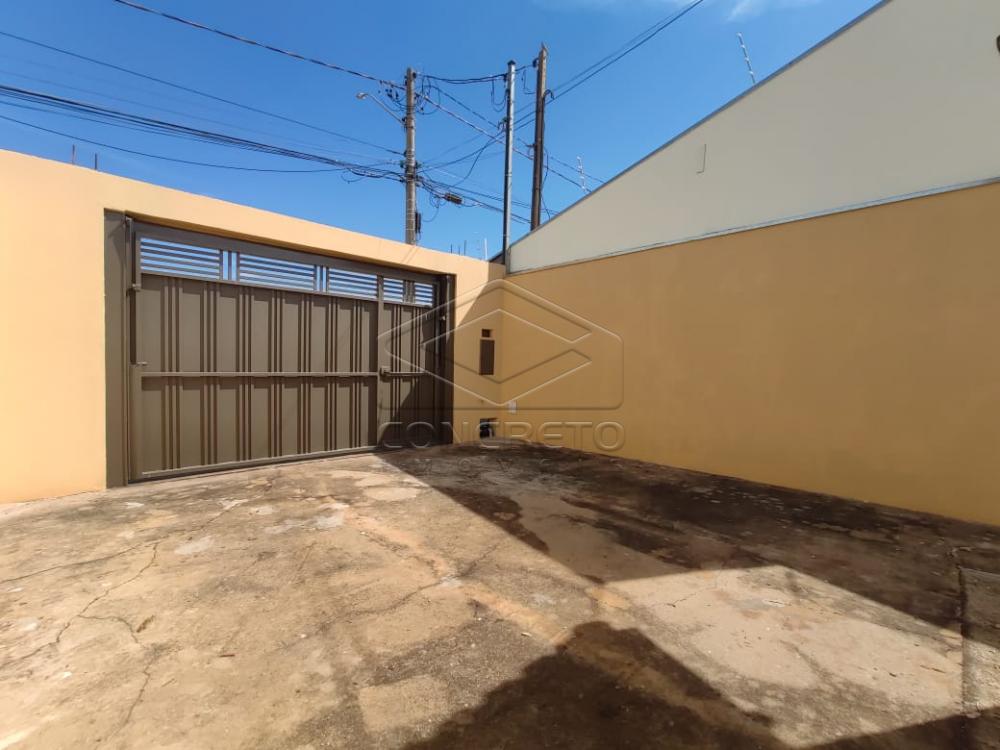 Alugar Casa / Padrão em Jaú R$ 800,00 - Foto 1 Alugar Casa / Padrão em Jaú R$ 800,00 - Foto 1