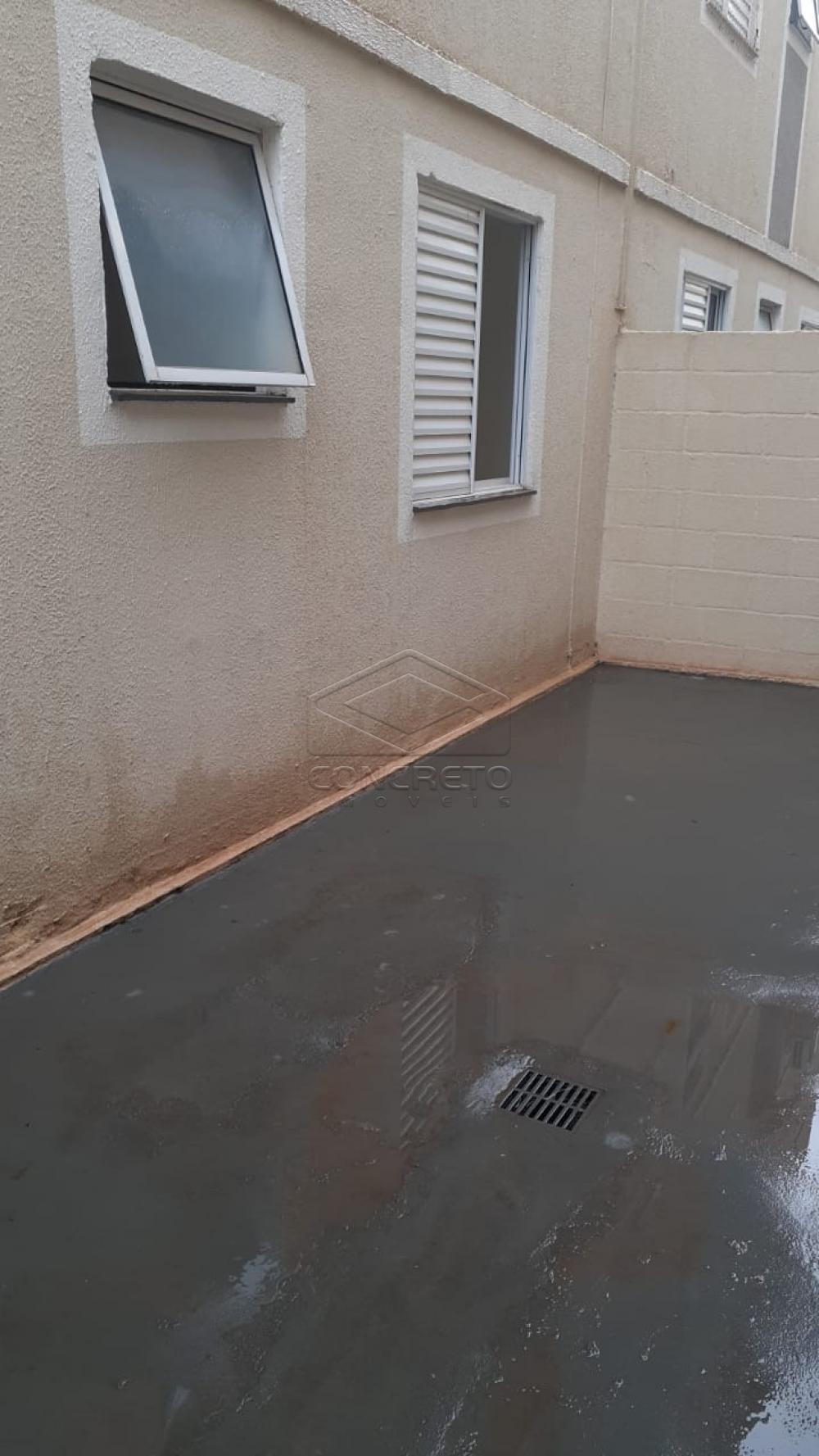 Alugar Apartamento / Padrão em Bauru R$ 790,00 - Foto 3 Alugar Apartamento / Padrão em Bauru R$ 790,00 - Foto 3