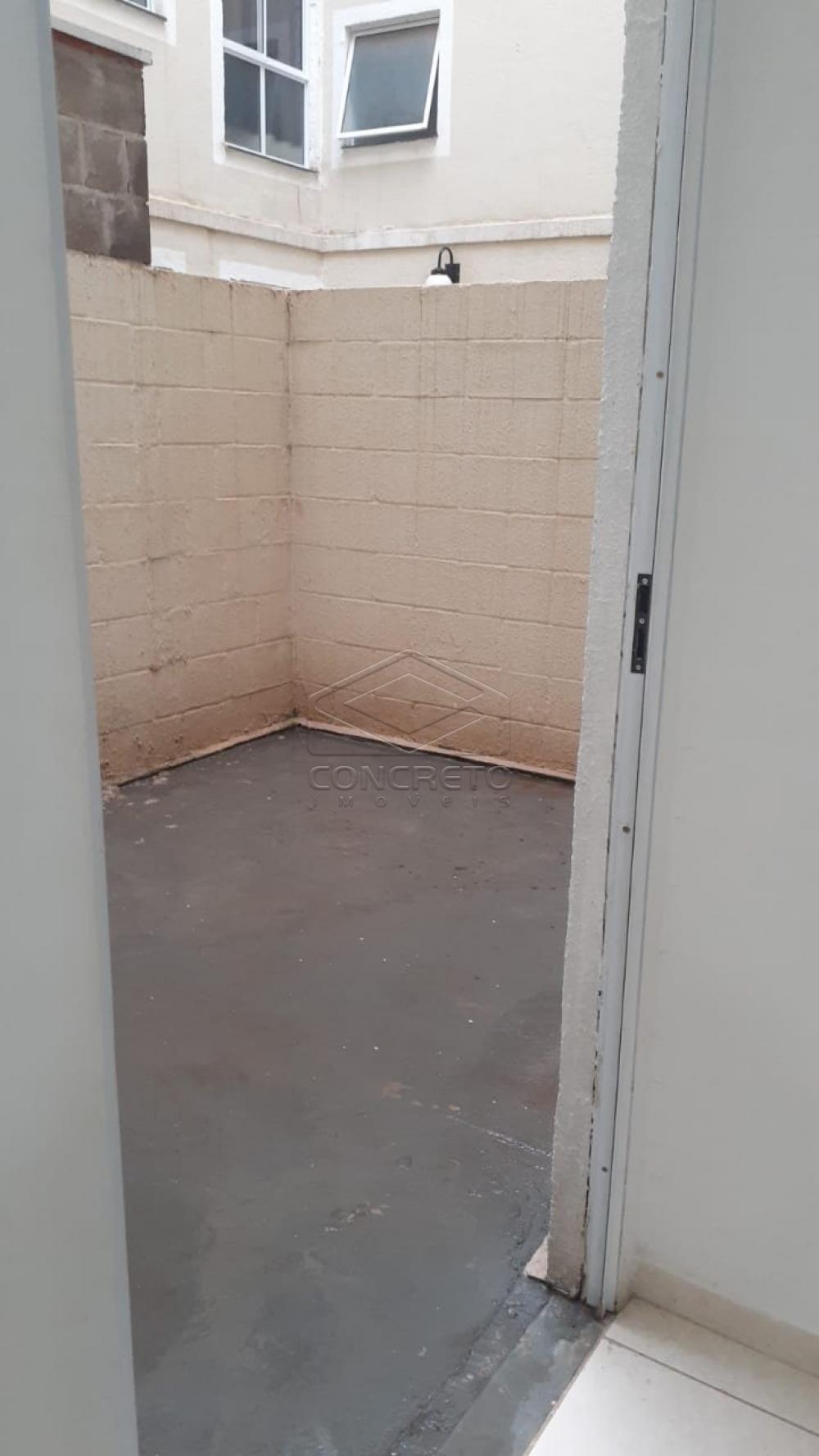 Alugar Apartamento / Padrão em Bauru R$ 790,00 - Foto 4 Alugar Apartamento / Padrão em Bauru R$ 790,00 - Foto 4