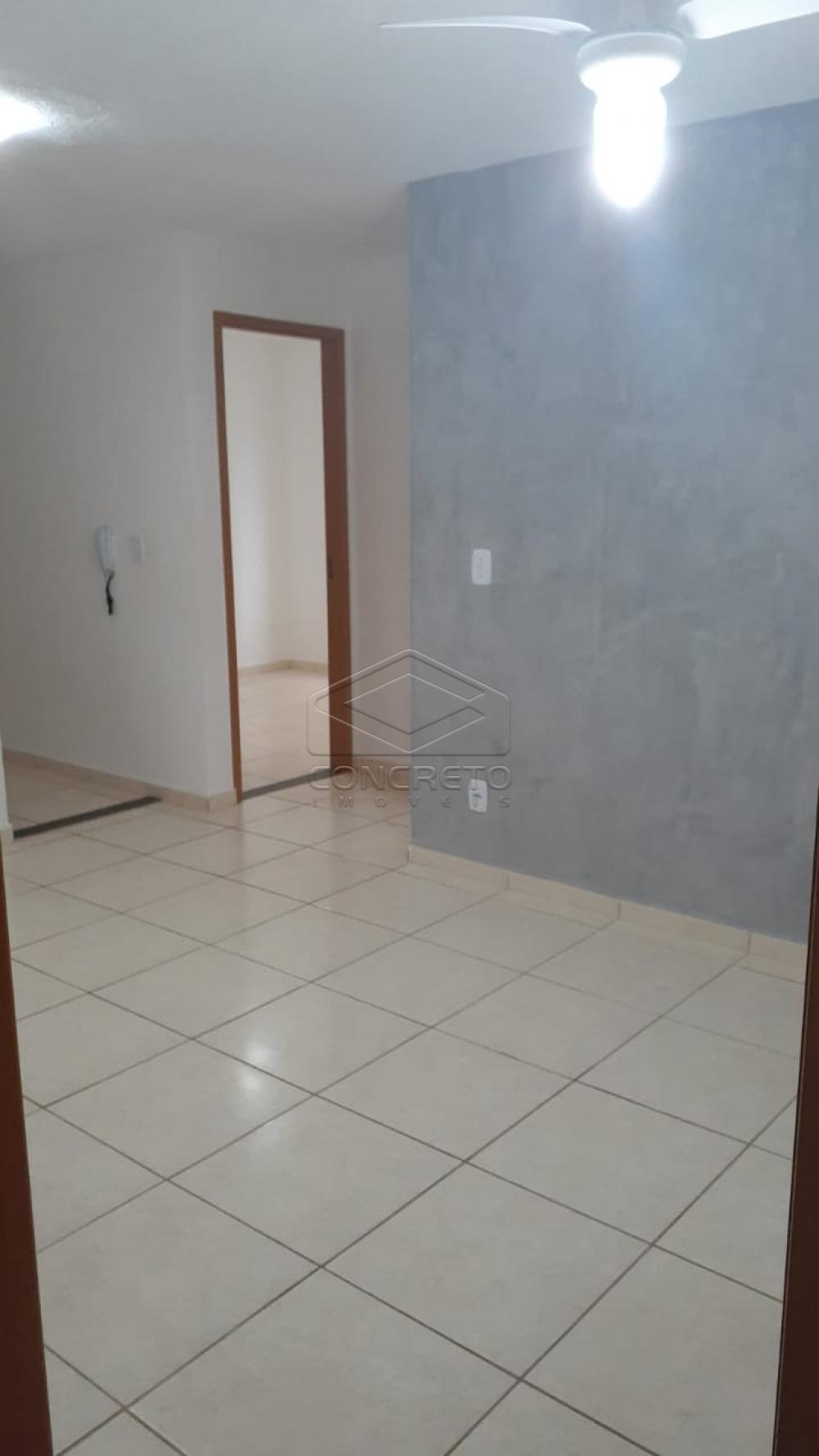 Alugar Apartamento / Padrão em Bauru R$ 790,00 - Foto 5 Alugar Apartamento / Padrão em Bauru R$ 790,00 - Foto 5