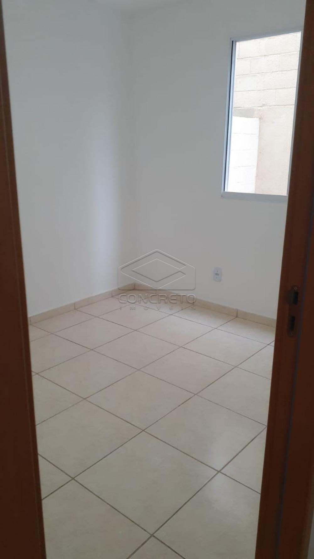 Alugar Apartamento / Padrão em Bauru R$ 790,00 - Foto 6 Alugar Apartamento / Padrão em Bauru R$ 790,00 - Foto 6