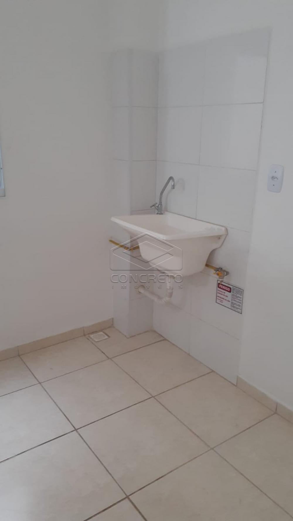 Alugar Apartamento / Padrão em Bauru R$ 790,00 - Foto 8 Alugar Apartamento / Padrão em Bauru R$ 790,00 - Foto 8
