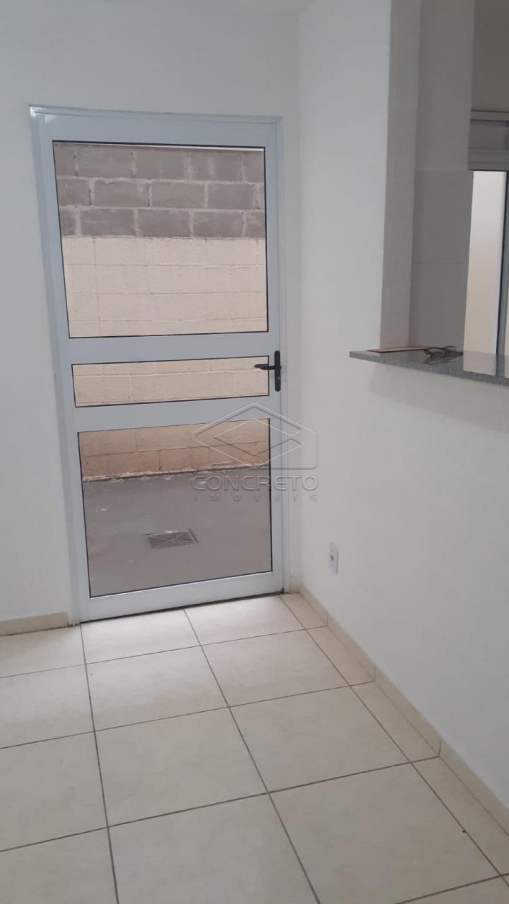 Alugar Apartamento / Padrão em Bauru R$ 790,00 - Foto 11 Alugar Apartamento / Padrão em Bauru R$ 790,00 - Foto 11
