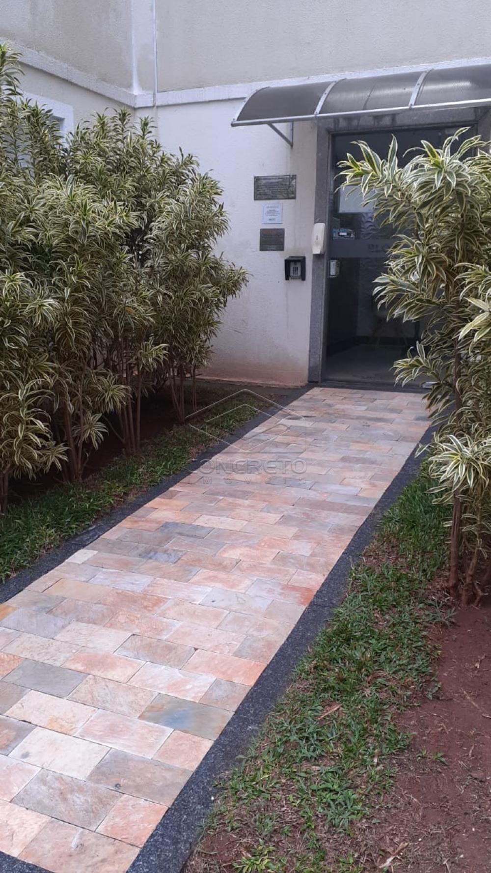 Alugar Apartamento / Padrão em Bauru R$ 790,00 - Foto 12 Alugar Apartamento / Padrão em Bauru R$ 790,00 - Foto 12