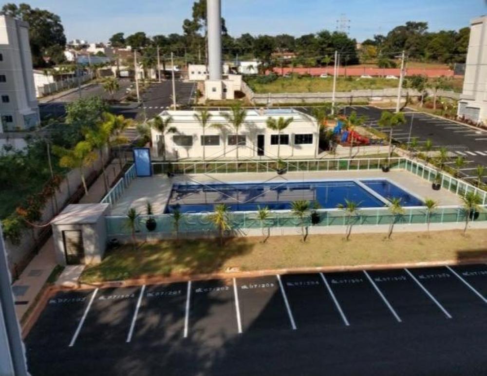 Alugar Apartamento / Padrão em Bauru R$ 790,00 - Foto 14 Alugar Apartamento / Padrão em Bauru R$ 790,00 - Foto 14