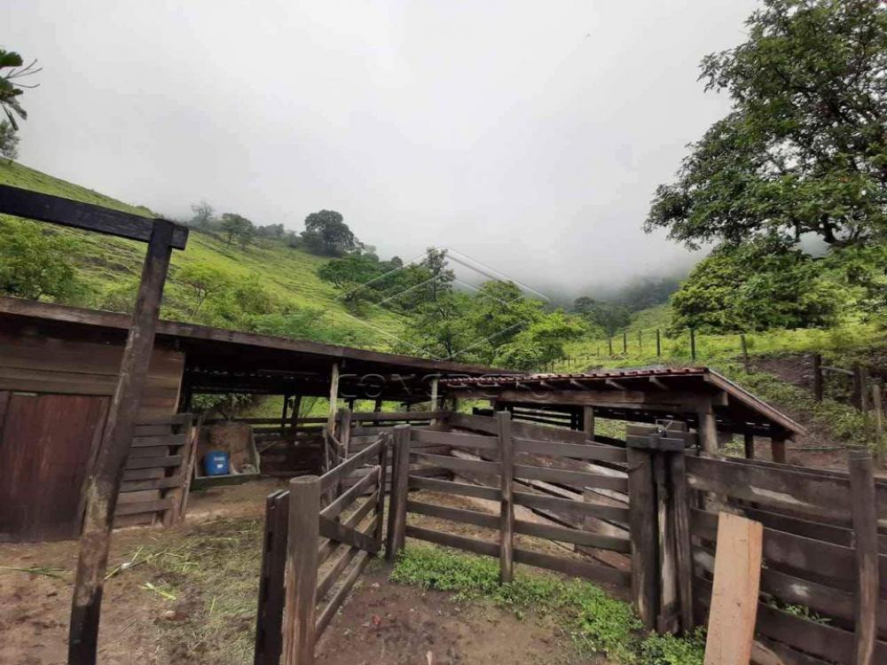 Comprar Rural / Sitio em Botucatu R$ 600.000,00 - Foto 4