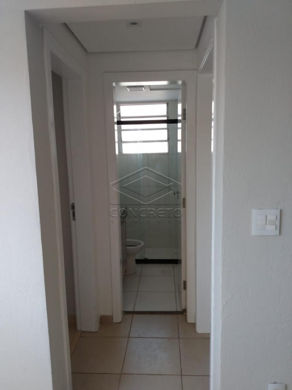 Alugar Apartamento / Padrão em Bauru R$ 900,00 - Foto 11
