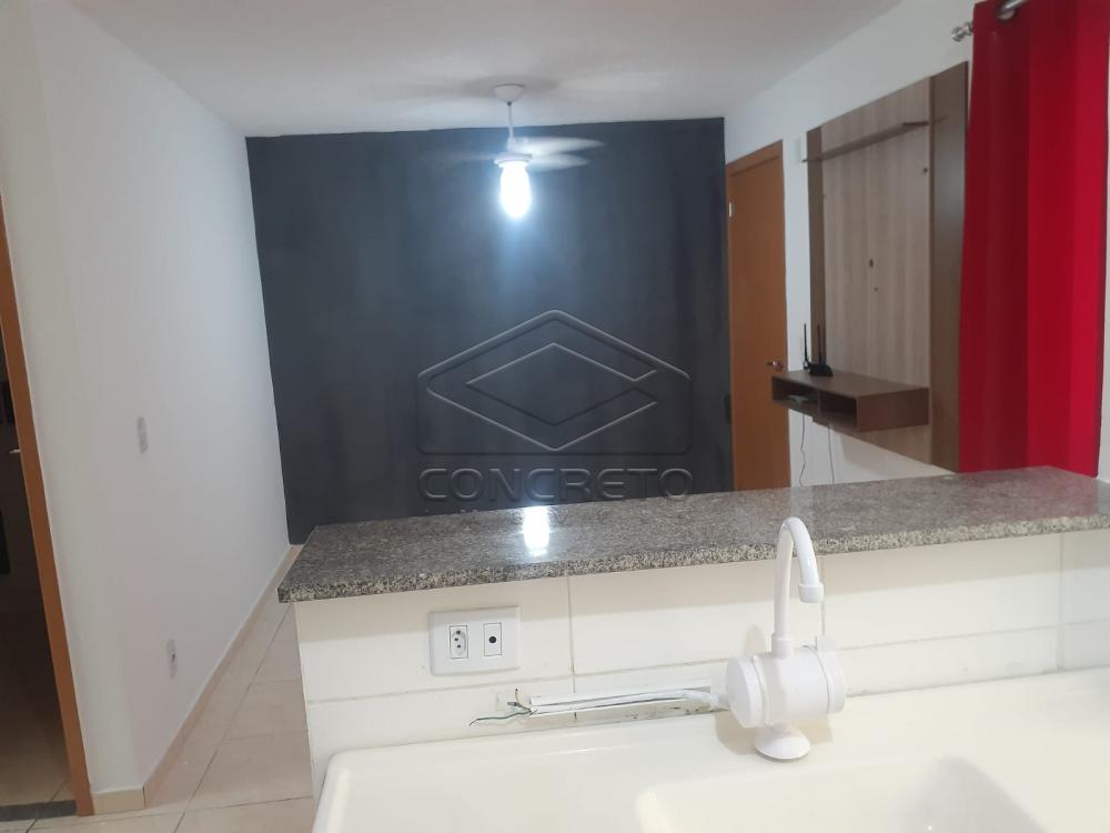 Alugar Apartamento / Padrão em Bauru R$ 1.000,00 - Foto 10