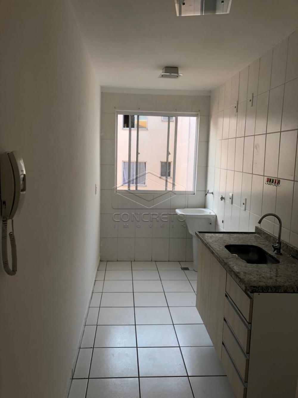 Alugar Apartamento / Padrão em Bauru R$ 580,00 - Foto 5