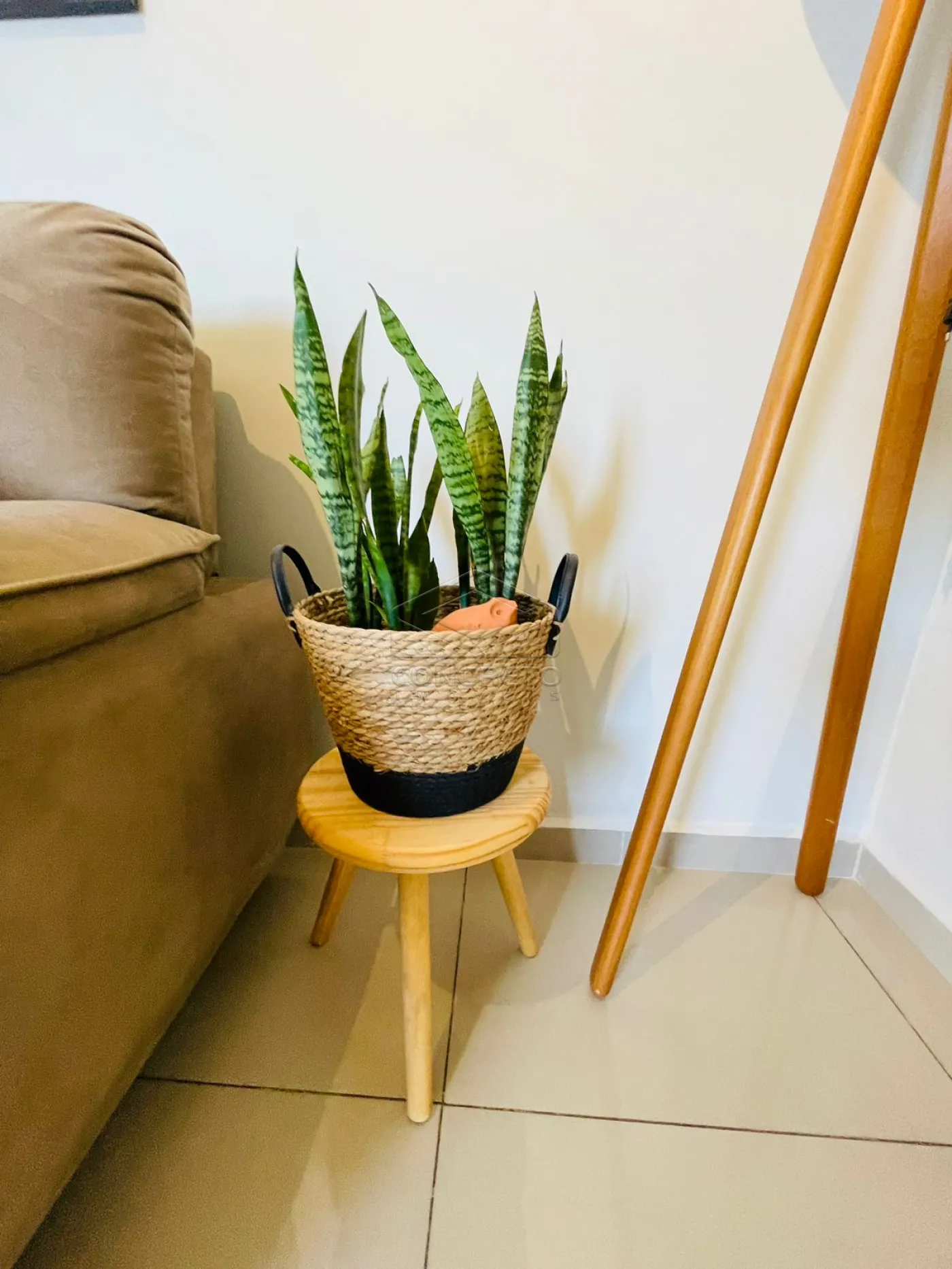 Comprar Apartamento / Mobiliado em Bauru R$ 550.000,00 - Foto 3