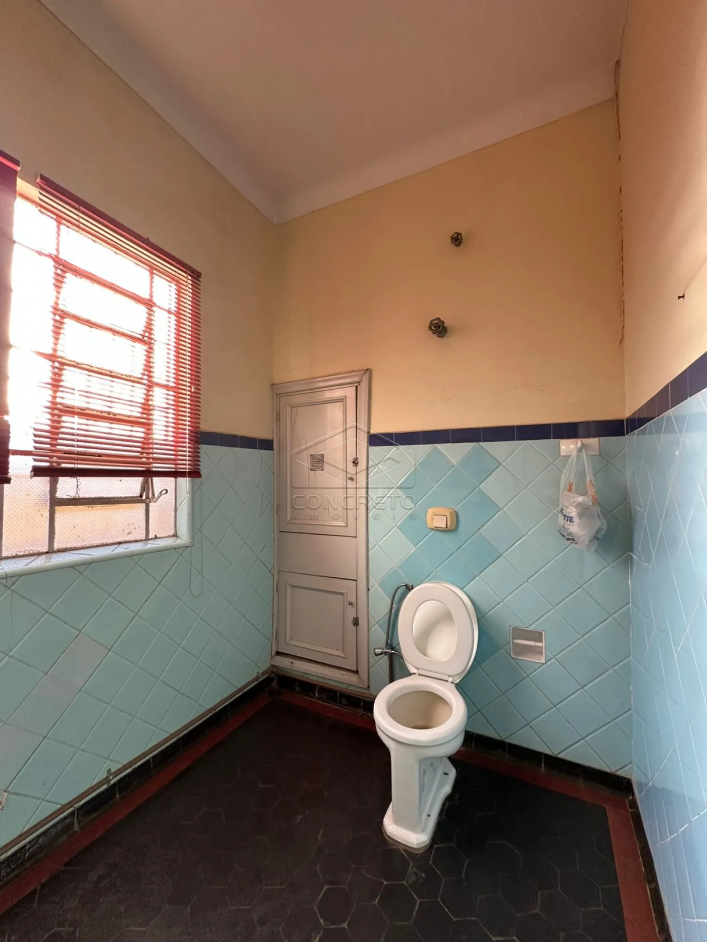 Alugar Comercial / Casa em Bauru R$ 2.800,00 - Foto 10