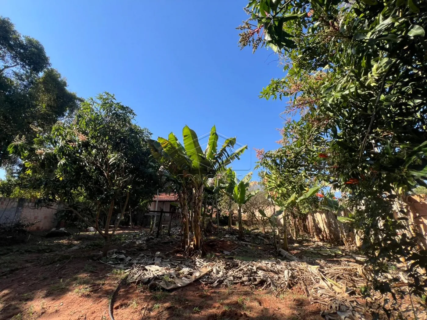 Comprar Rural / ChácaraFazenda em Bauru R$ 190.000,00 - Foto 6