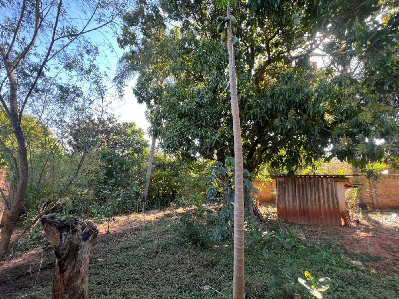Comprar Rural / ChácaraFazenda em Bauru R$ 190.000,00 - Foto 7