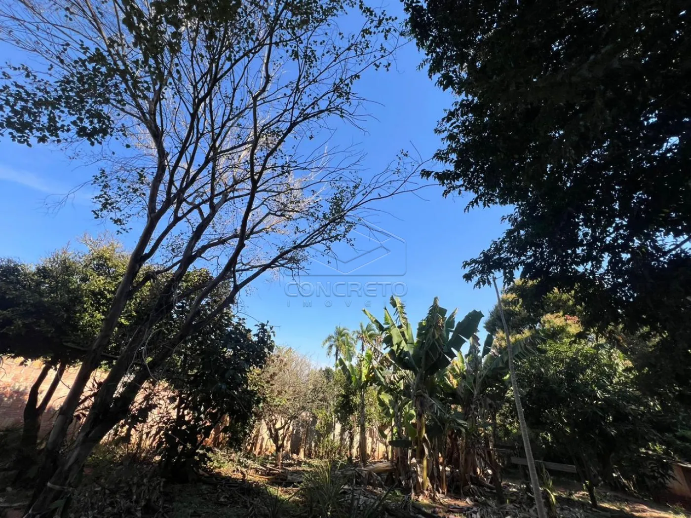 Comprar Rural / ChácaraFazenda em Bauru R$ 190.000,00 - Foto 8