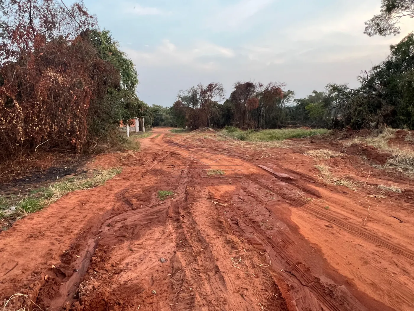 Comprar Terreno / Padrão em Bauru R$ 65.000,00 - Foto 2