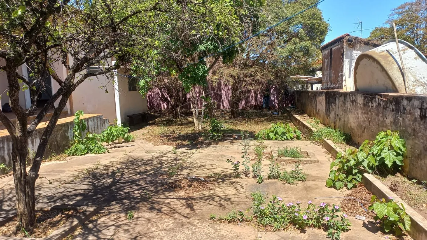 Comprar Casa / Padrão em Bauru R$ 800.000,00 - Foto 14