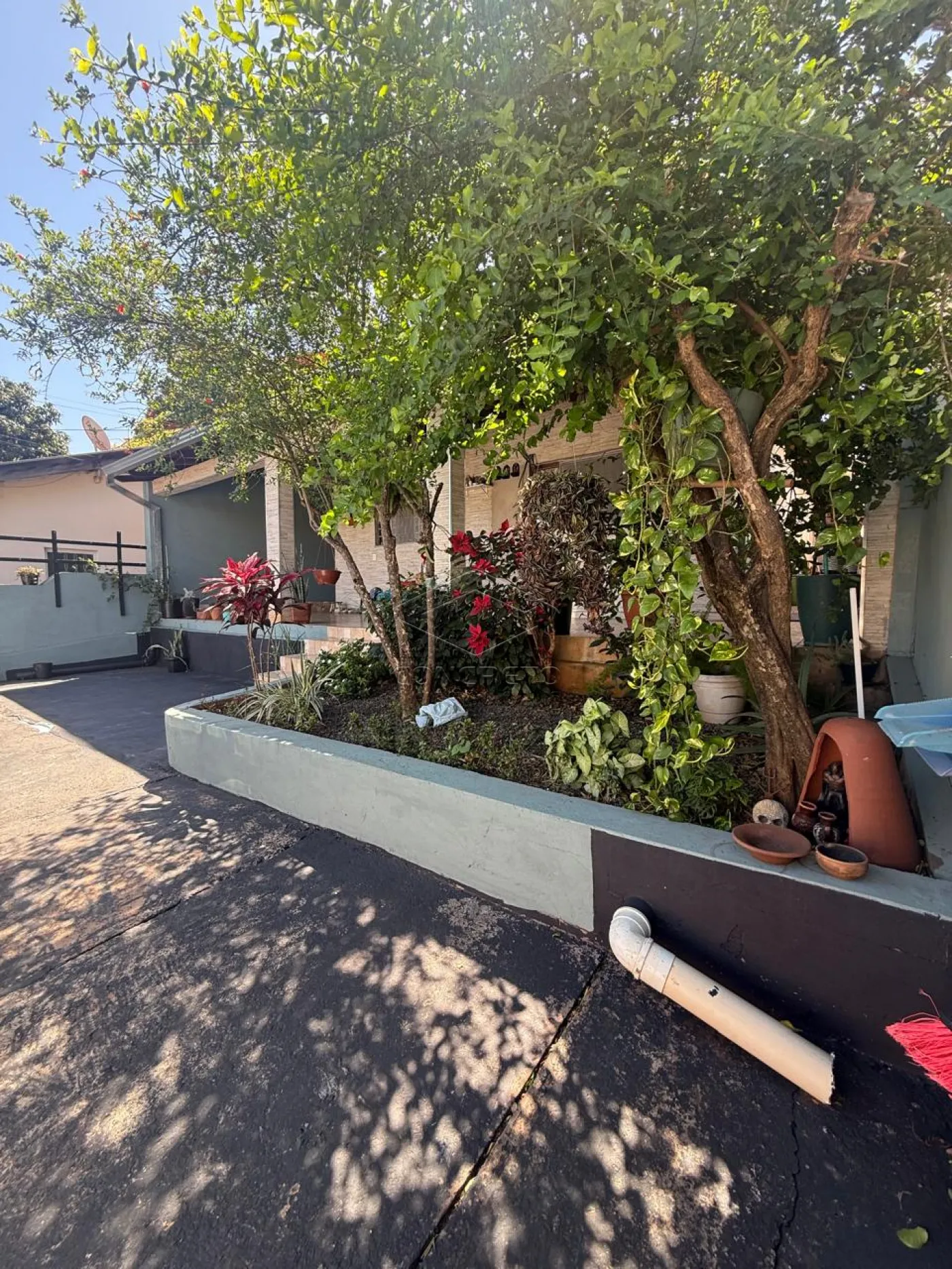 Comprar Casa / Padrão em Bauru R$ 410.000,00 - Foto 14
