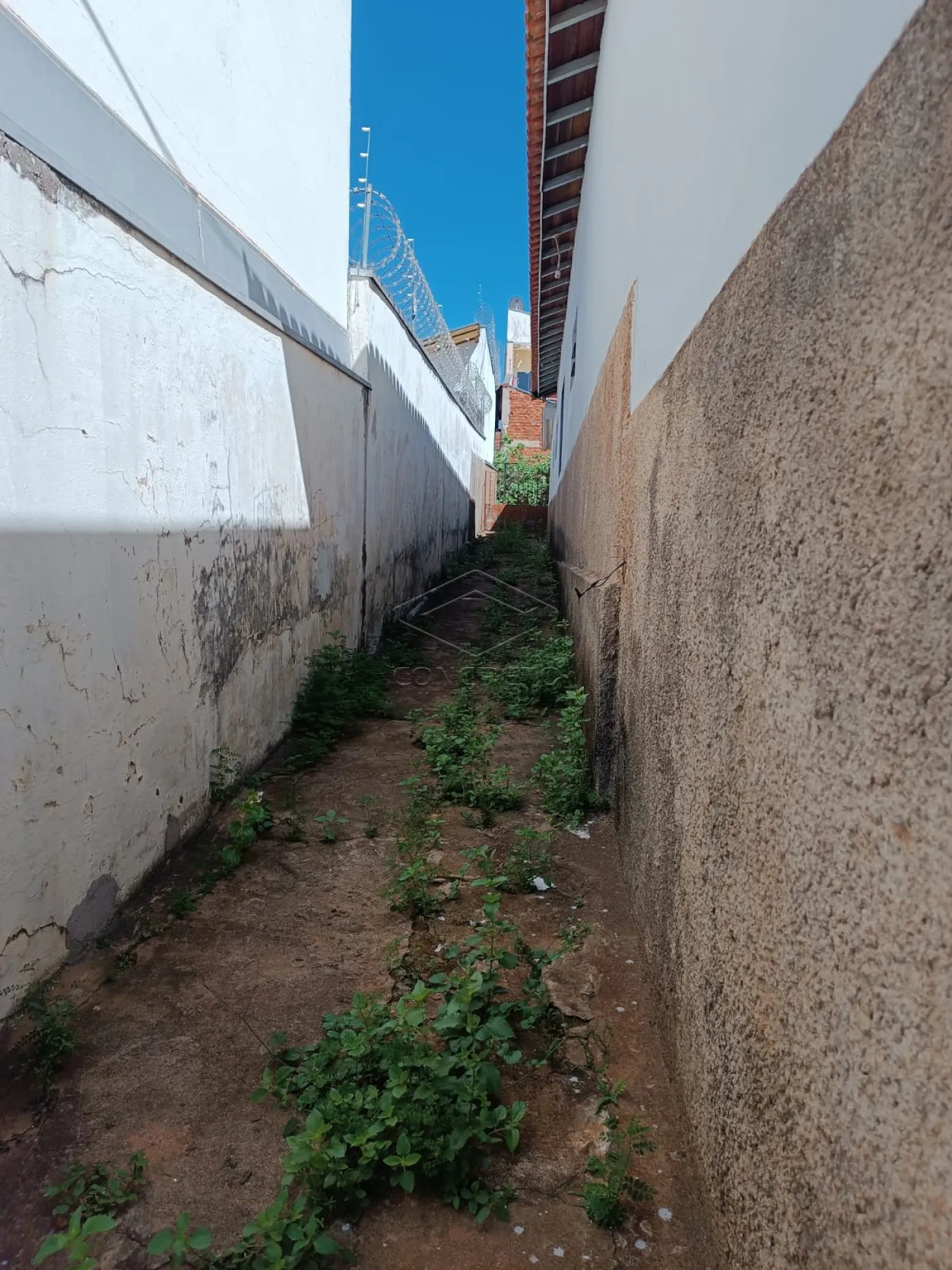 Alugar Casa / Padrão em Bauru R$ 1.800,00 - Foto 25