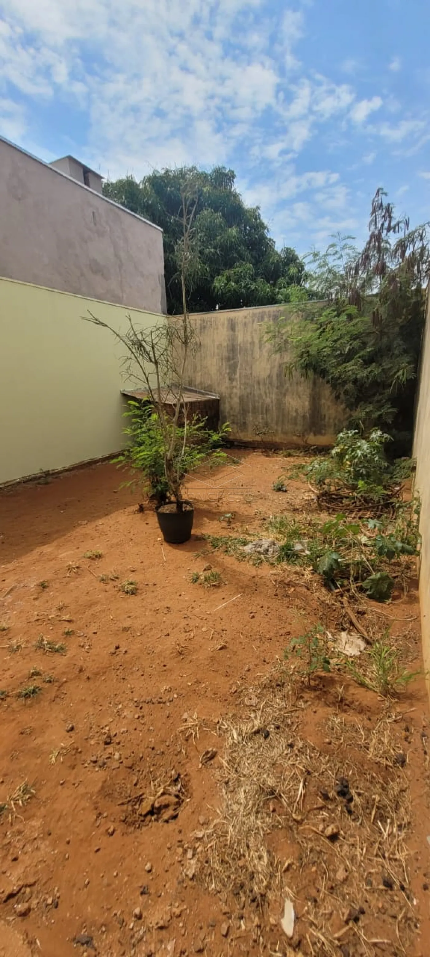Alugar Comercial / Casa em Bauru R$ 1.400,00 - Foto 8