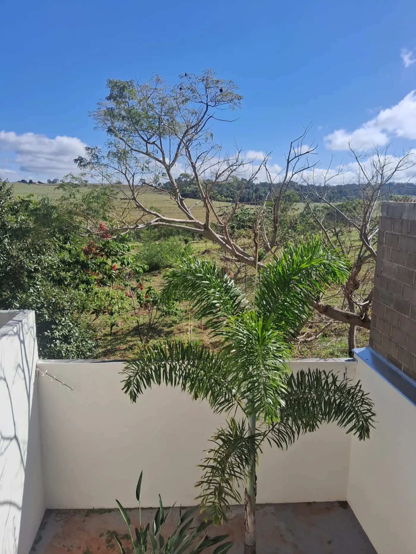 Comprar Casa / Residência em Botucatu R$ 420.000,00 - Foto 19