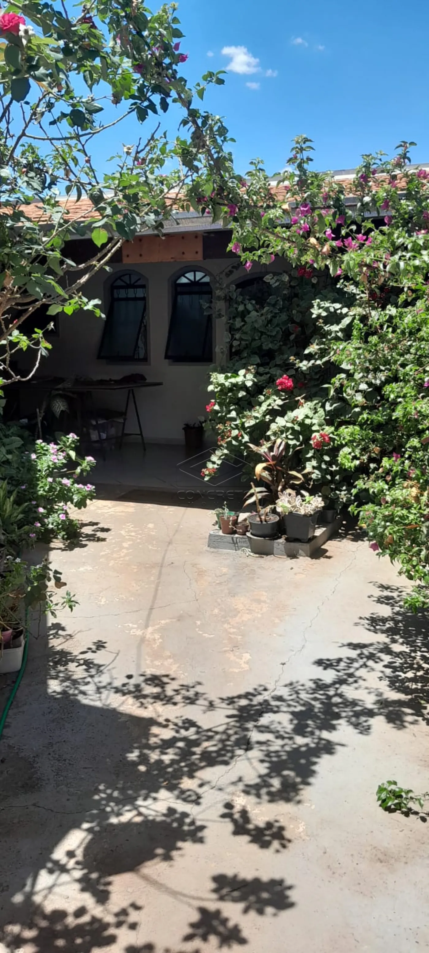 Comprar Casa / Padrão em Bauru R$ 580.000,00 - Foto 26