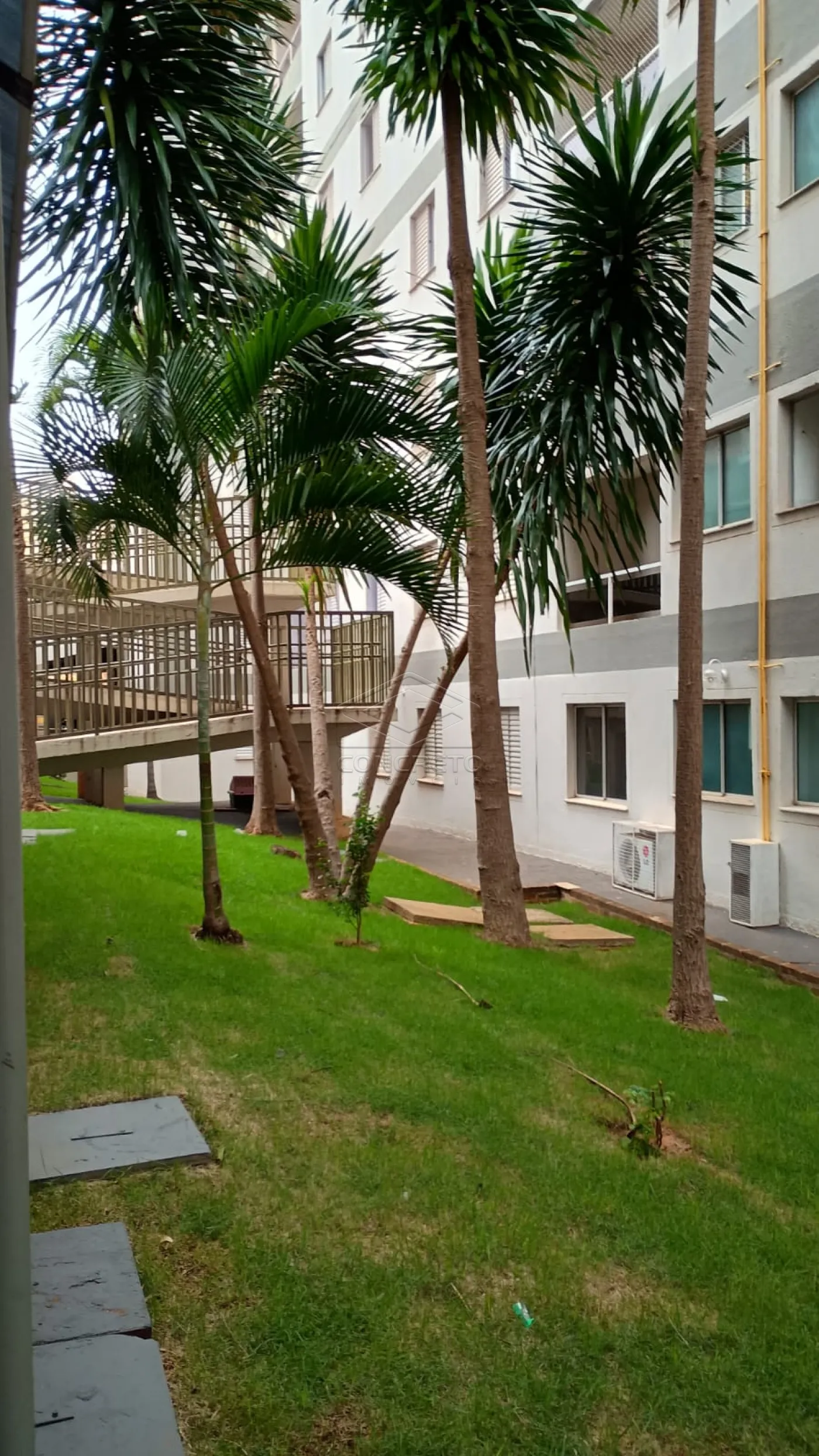 Comprar Apartamento / Padrão em Bauru R$ 319.000,00 - Foto 18