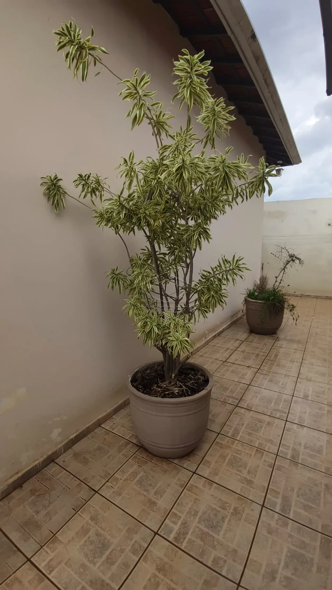 Alugar Casa / Residência em Botucatu R$ 4.500,00 - Foto 3