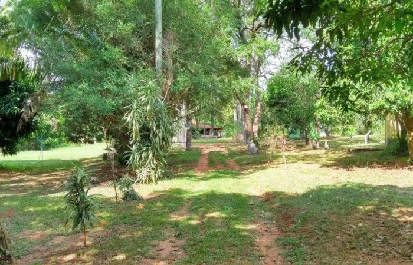 Alugar Rural / ChácaraFazenda em Bauru R$ 3.000,00 - Foto 12