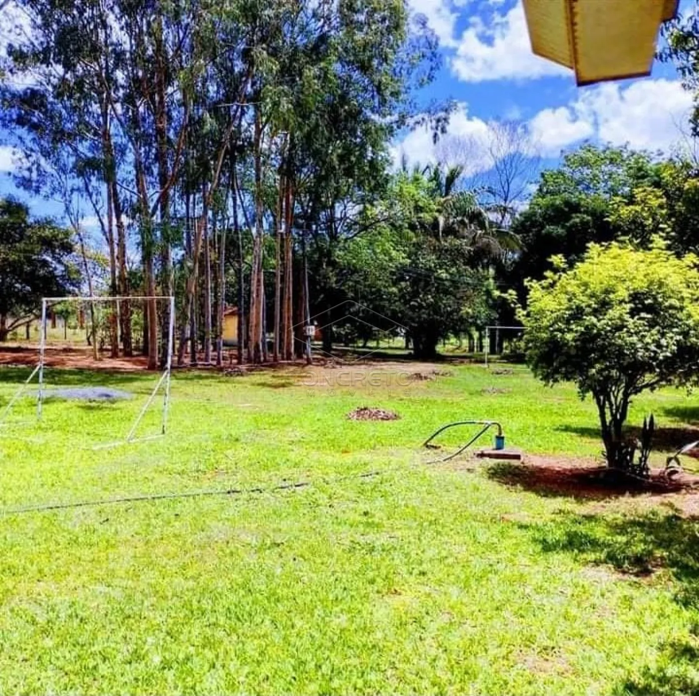Alugar Rural / ChácaraFazenda em Bauru R$ 3.000,00 - Foto 13