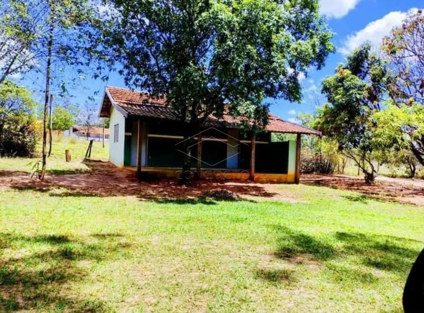 Alugar Rural / ChácaraFazenda em Bauru R$ 3.000,00 - Foto 14