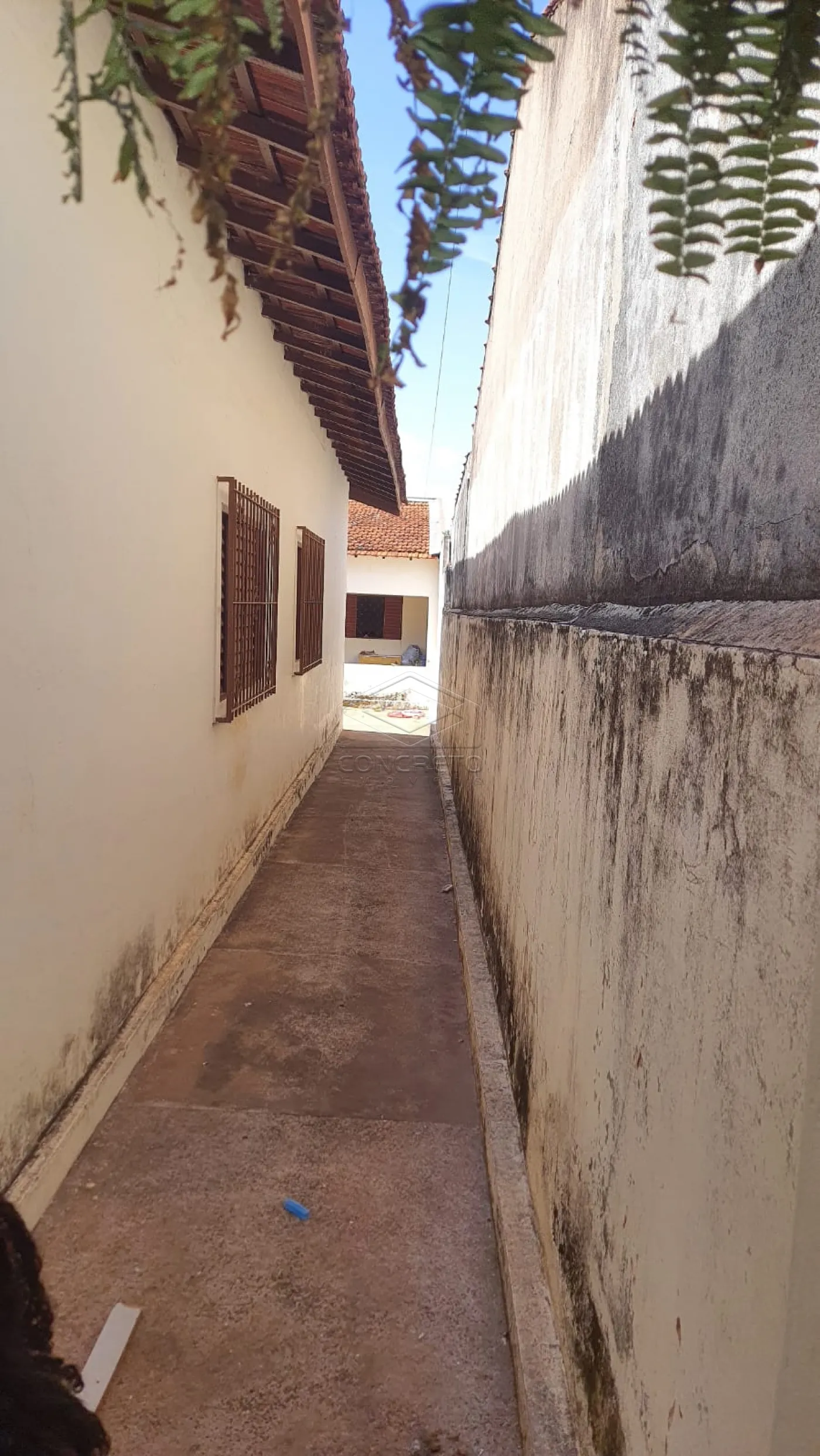 Comprar Casa / Padrão em Bauru R$ 320.000,00 - Foto 21