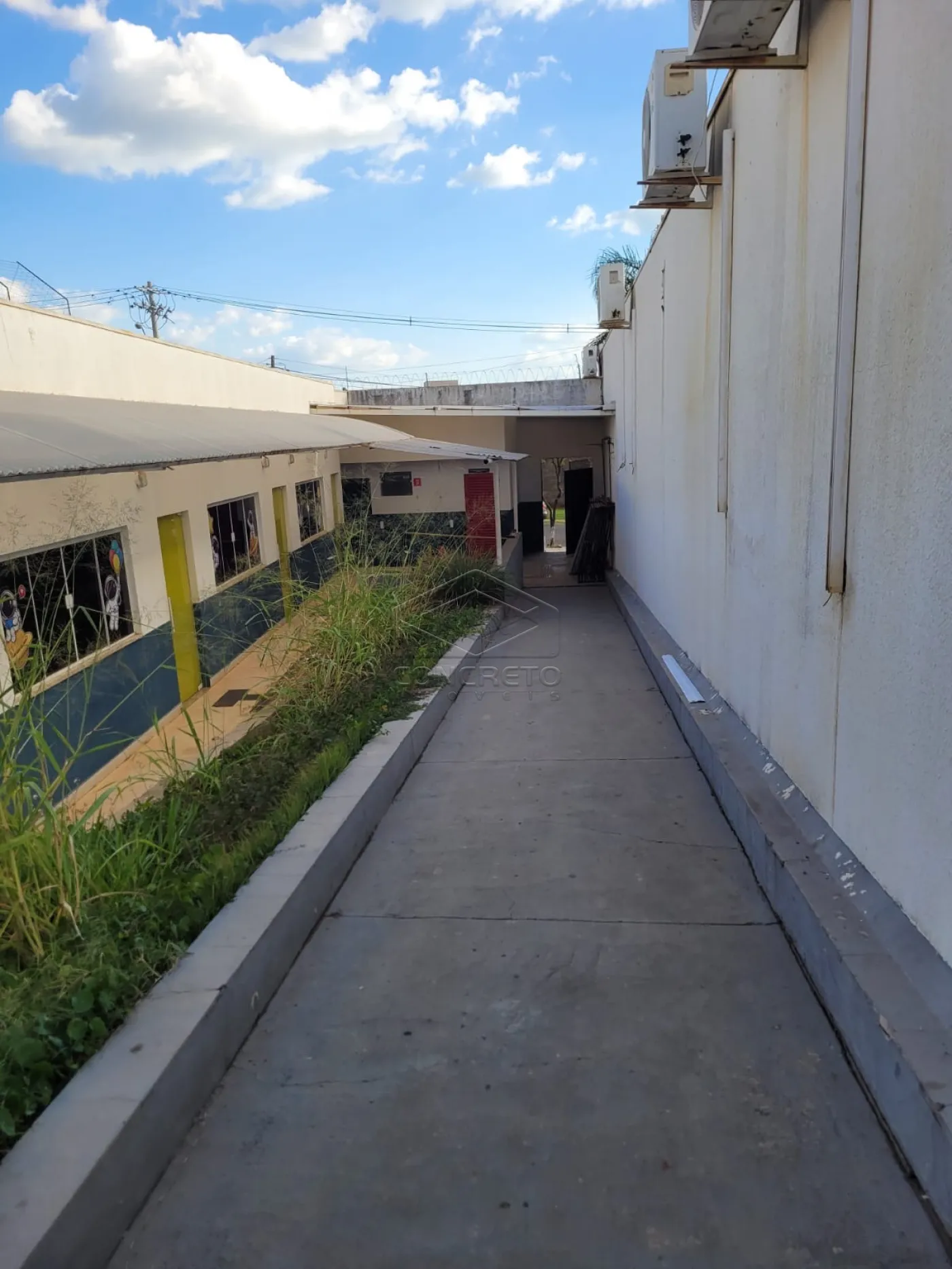 Alugar Comercial / Prédio Comercial em Bauru R$ 9.000,00 - Foto 1