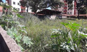 imagem 4 - Terreno - Padrão imagem 4 - Terreno - Padrão