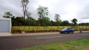 imagem 3 - Terreno - Padrão imagem 3 - Terreno - Padrão