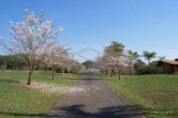 imagem 2 - Terreno - Padrão imagem 2 - Terreno - Padrão