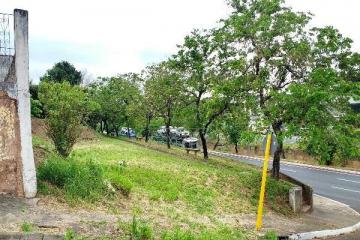 TERRENO ACLIVE COM EXCELENTE LOCALIZAÇÃO NO PARQUE VISTA ALEGRE