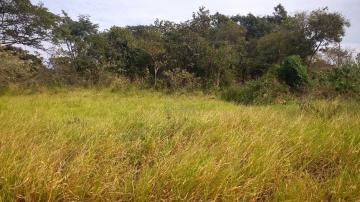 imagem 4 - TERRENO À VENDA - VILA AVIAÇÃO imagem 4 - TERRENO À VENDA - VILA AVIAÇÃO