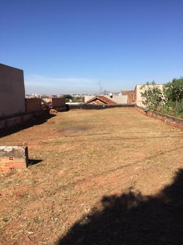 Alugar Terreno / Padrão em Bauru. apenas R$ 75.000,00