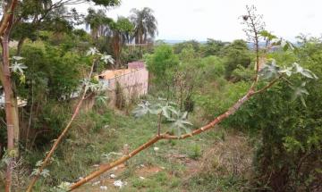 imagem 3 - Terreno - Padrão imagem 3 - Terreno - Padrão