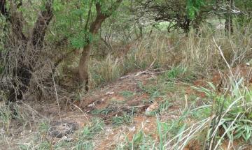 imagem 5 - Terreno - Padrão imagem 5 - Terreno - Padrão