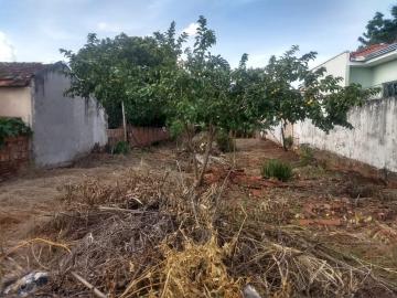 Alugar Terreno / Padrão em Lençóis Paulista. apenas R$ 250.000,00